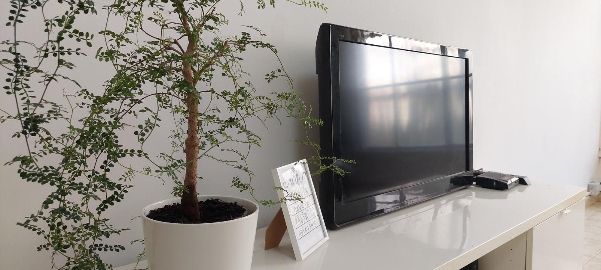 הנביאים 1 נתניה Naveim Apartment ภายนอก รูปภาพ